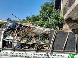 Best Commercial Junk Removal  in Colchester, IL